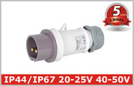 屋内ポーランド人の低電圧のプラグおよびソケット 3 つ 40V 50V の IEC309 標準