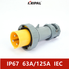 63A 125A IP67の三相防水ヨーロッパの産業プラグ6H